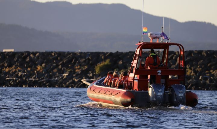 Campbell River Whale Watching, Biosphere Certified, leads as Canada’s first whale-watching company with Rainbow Registered accreditation, championing inclusivity and sustainability.