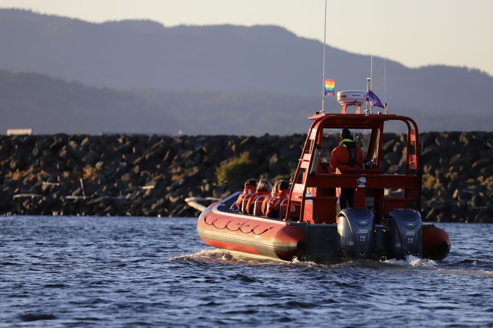 Campbell River Whale Watching, Biosphere Certified, leads as Canada’s first whale-watching company with Rainbow Registered accreditation, championing inclusivity and sustainability.